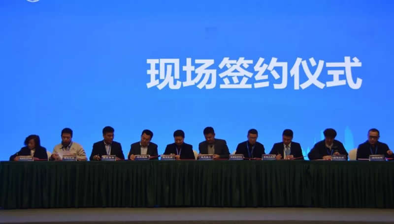 1604644604120248.jpg 12.jpg